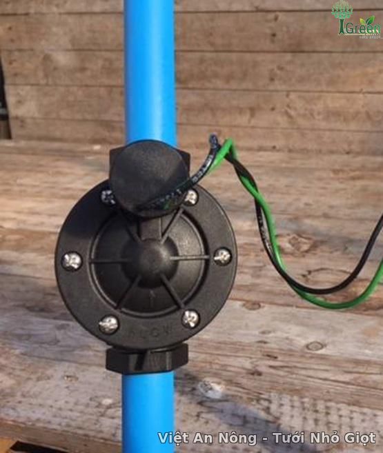 09712337.jpg 09712337