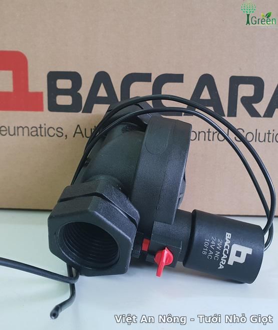 19756719.jpg 19756719