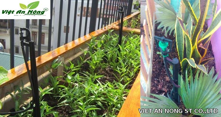 Béc phun mưa Béc phun mưa