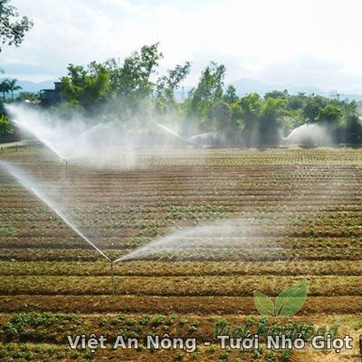 AQ20CS Béc phun mưa tưới cho rau màu AQ20CS Béc phun mưa tưới cho rau màu