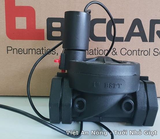 62912746.jpg 62912746