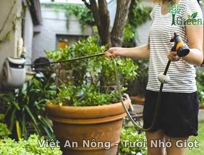 Vòi tưới cây, cuộn dây tự cuốn 30m Holman Vòi tưới cây, cuộn dây tự cuốn 30m Holman