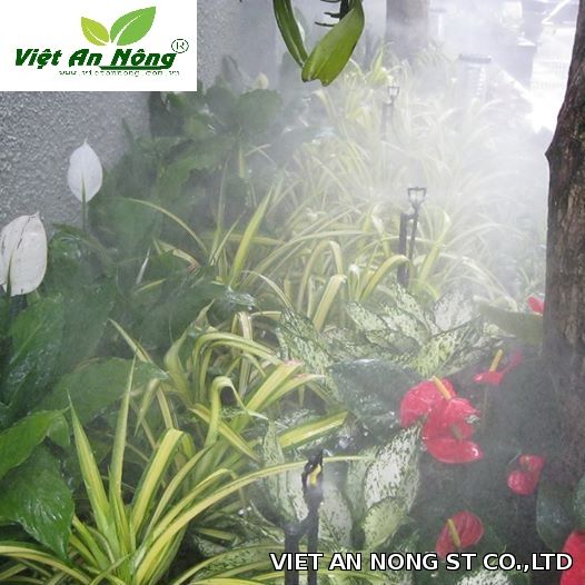 Béc phun sương Béc phun sương