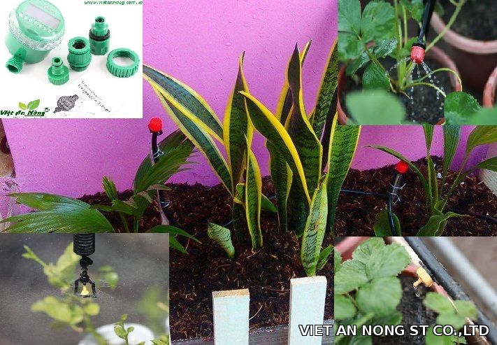 95660026.jpg 95660026