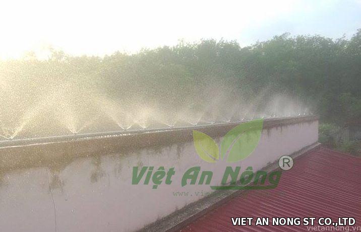 bec-phun-suong-bo-uc-tuoi-goc-tuoi-tren-tan2 bec phun suong bo uc tuoi goc tuoi tren tan2