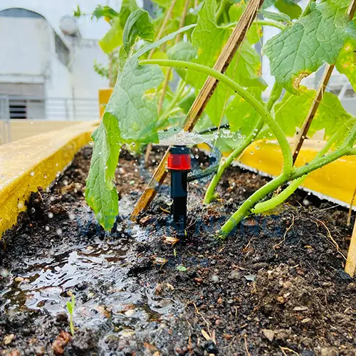 bec phun xoe co chan cam chinh luu luong vanx1