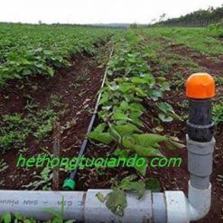 Van xả khí - xả áp