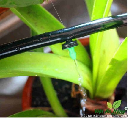 Vòi nhỏ giọt bù áp tự làm sạch VAN12L