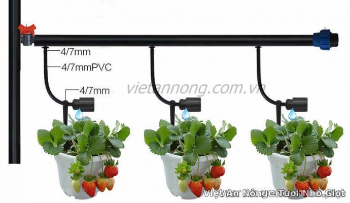 Cách lắp đặt Béc nhỏ giọt điều chỉnh lưu lượng VRF