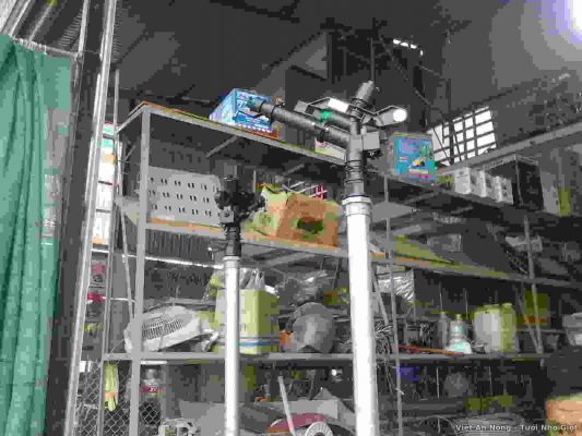 Du an tuoi che o Thai Nguyen 2