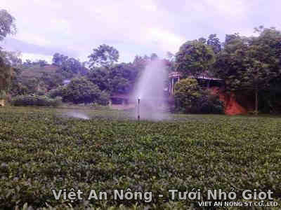 Du an tuoi che o Thai Nguyen