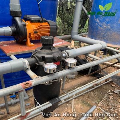 Tuoi nho giot cho cay hoa chau nha kinh o Hung Yen 2