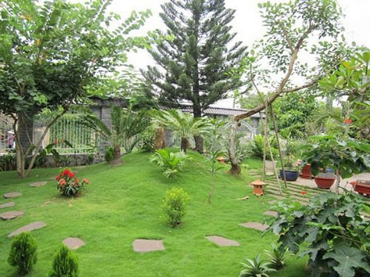 chọn lựa kế hoặc tưới cho khu vườn của bạn