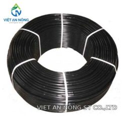 day quan goc 4 247x247 1