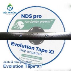 ong tuoi tham thau 1