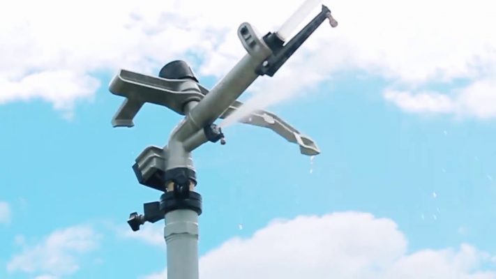 Sung tuoi co ban kinh lon cua Automat An Do AQ42G