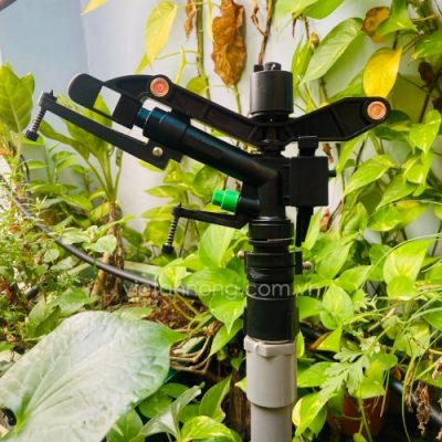 bec tuoi chinh goc phi 34 van0410A