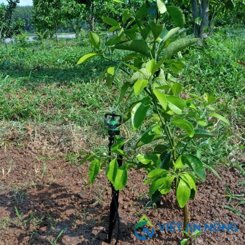 Béc tưới gốc bù áp AQ206PC 39 lít - ẤN ĐỘ 10 béc tưới gốc bù áp aq206pc 39 lít - automat ấn độ 9