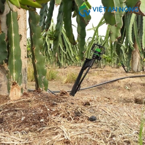 béc tưới gốc bù áp aq206pc 39 lít - automat ấn độ 8