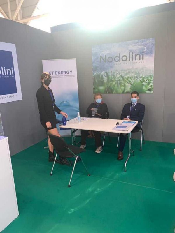 sung tuoi cay nodolini viet nam