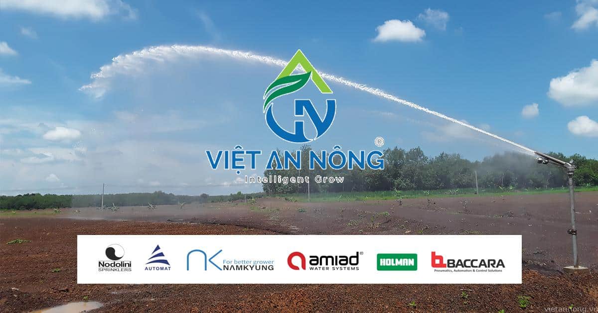 Việt An Nông