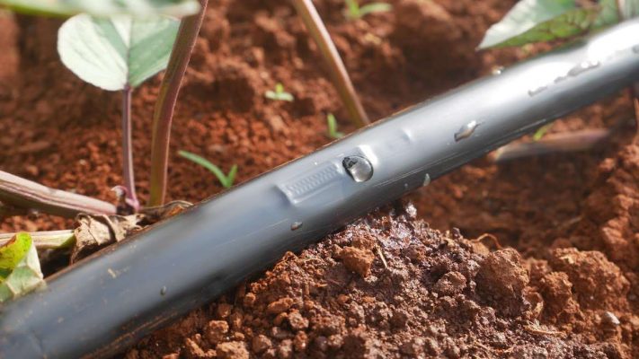 4 lợi ích cảu hệ thống tưới nhỏ giọt