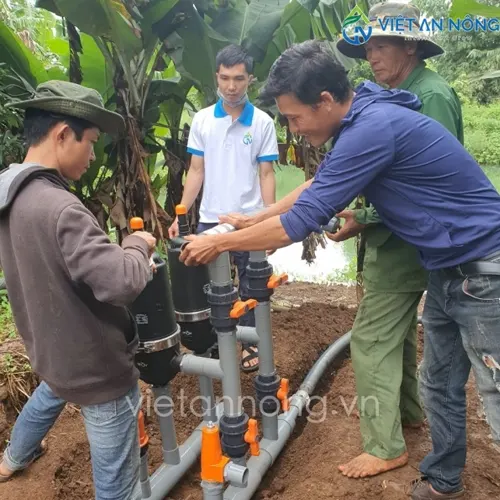 Tưới cây sầu riêng và mít bằng béc AQ206PC tại Đắc Lắc 5 5 1