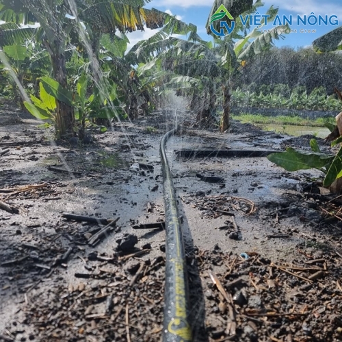 Dây tưới phun mưa 34mm cuộn 200m Smile NamKyung - Hàn Quốc 10 ong phun mua han quoc smile 34mm 200m