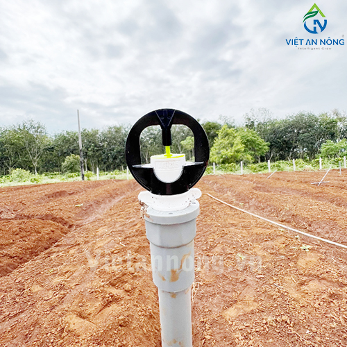 Tưới nha đam với Béc tưới Automat tỏa tròn kiểu bướm – AQ205 ( Đắk Lắk )