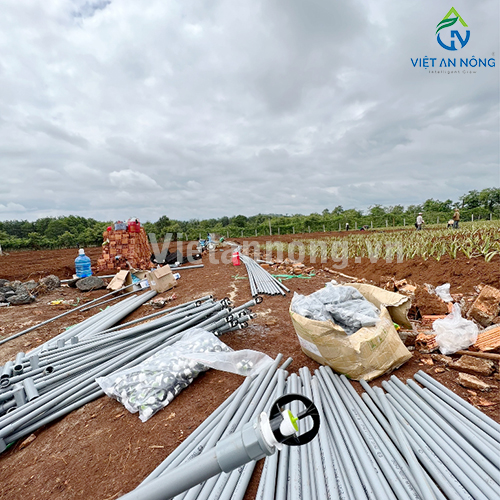 Tưới nha đam với Béc tưới Automat tỏa tròn kiểu bướm – AQ205 ( Đắk Lắk )