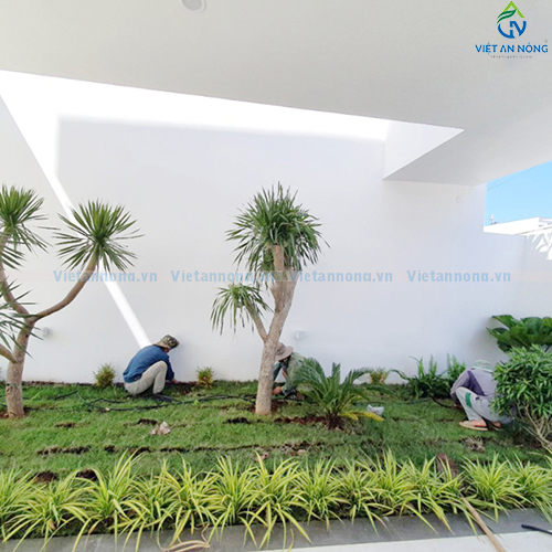 Tưới nhỏ giọt tự động cùng bộ hẹn giờ G75C cho cảnh quan biệt thự ở Bảo Lộc