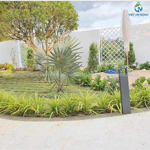 Tưới nhỏ giọt tự động cùng bộ hẹn giờ G75C cho cảnh quan biệt thự ở Bảo Lộc