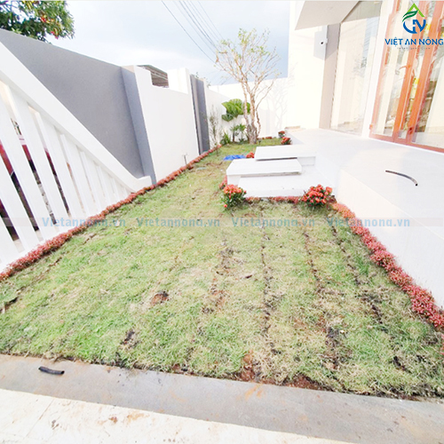 Tưới nhỏ giọt tự động cùng bộ hẹn giờ G75C cho cảnh quan biệt thự ở Bảo Lộc