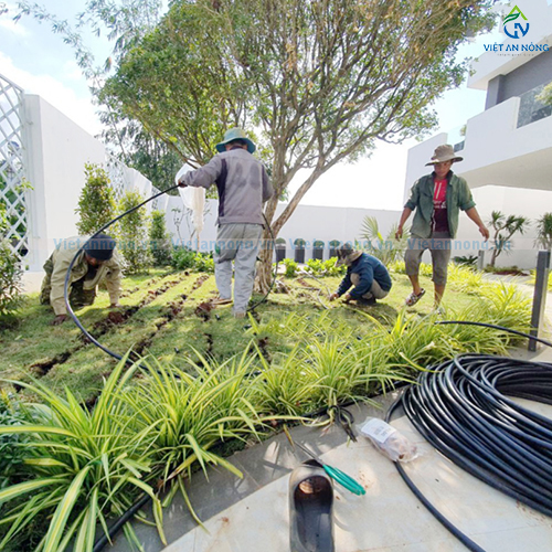 Tưới nhỏ giọt tự động cùng bộ hẹn giờ G75C cho cảnh quan biệt thự ở Bảo Lộc
