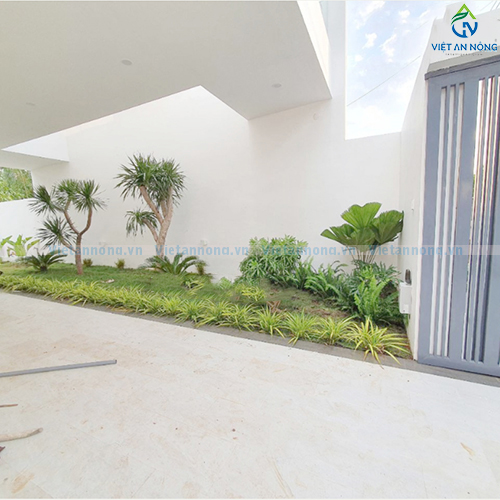 Tưới nhỏ giọt tự động cùng bộ hẹn giờ G75C cho cảnh quan biệt thự ở Bảo Lộc