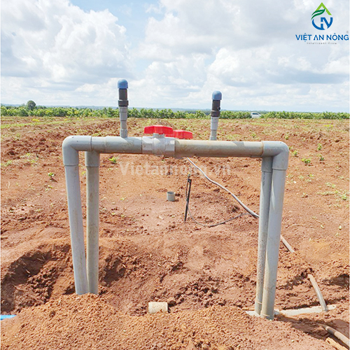 Tưới phun mưa 52ha sầu riêng cùng Béc bù áp AQ206PC 62 lít – Automat ( Đắk Lắk )