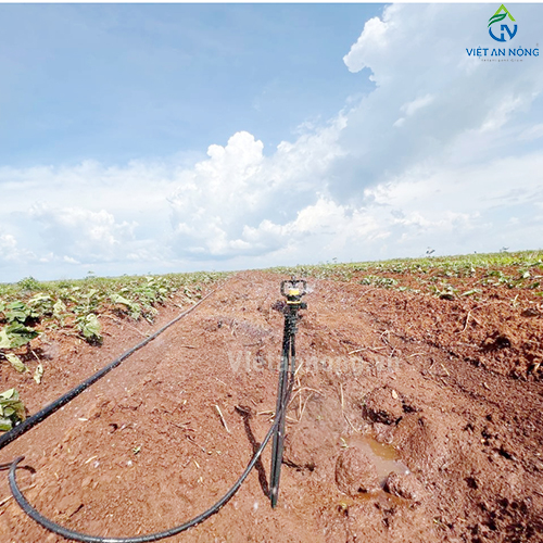 Tưới phun mưa 52ha sầu riêng cùng Béc bù áp AQ206PC 62 lít – Automat ( Đắk Lắk )