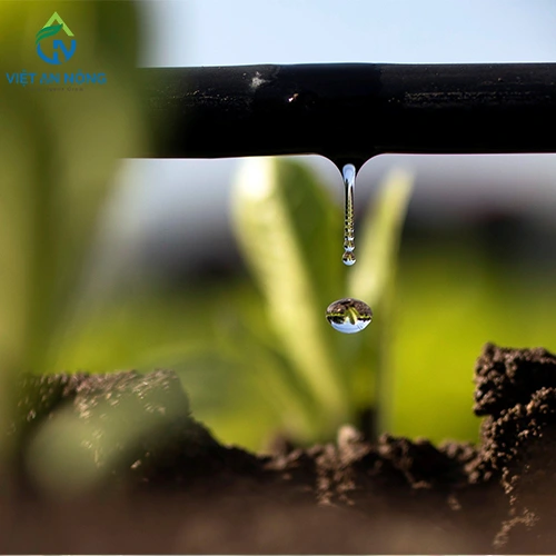 san pham nho giot percent 4