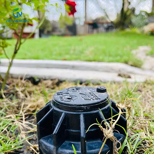  vòi pop - up RPS75i KRain - USA.