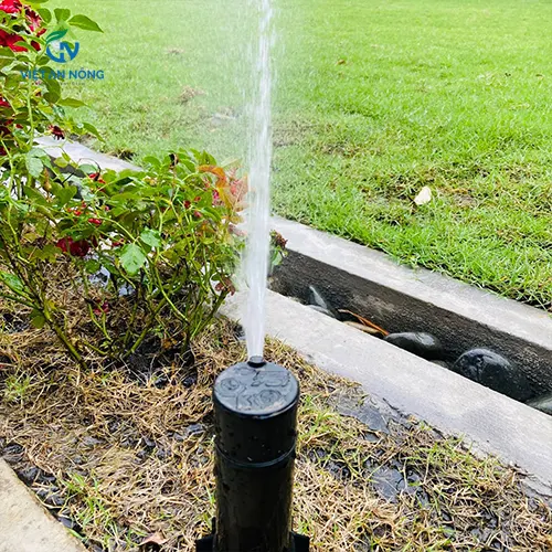  vòi pop - up RPS75i KRain - USA.