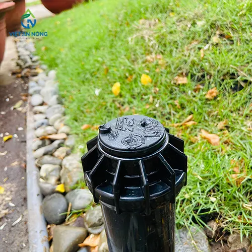  vòi pop - up RPS75i KRain - USA.