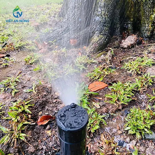  vòi pop - up RPS75i KRain