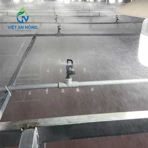 Tác Động Tích Cực Của Hệ Thống Phun Sương Đối Với Sự Phát Triển Của Cây Trồng 1 24