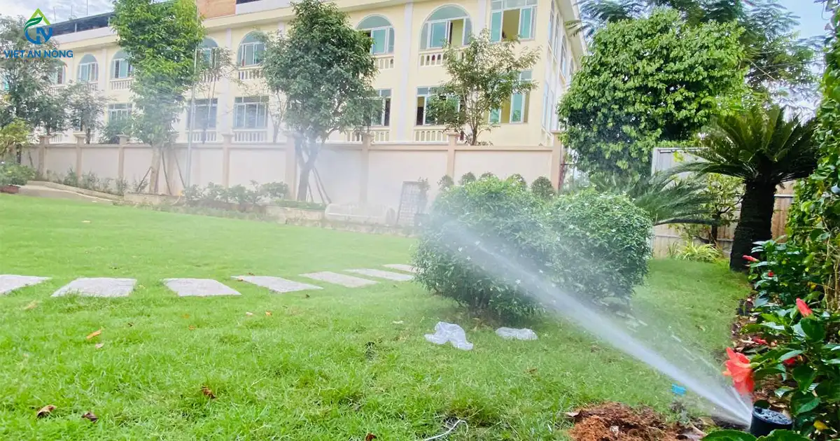 du an tuoi canh quan binh duong 1