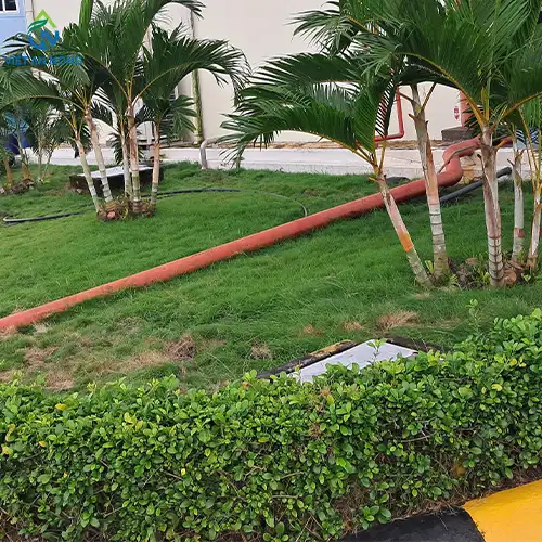 du an tuoi canh quan binh duong