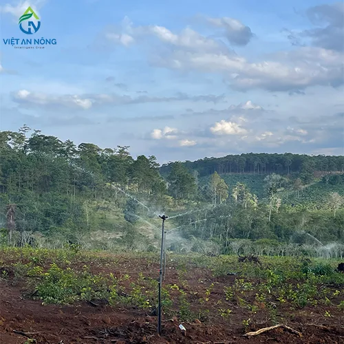 du an tuoi phun mua dau tam di linh 1