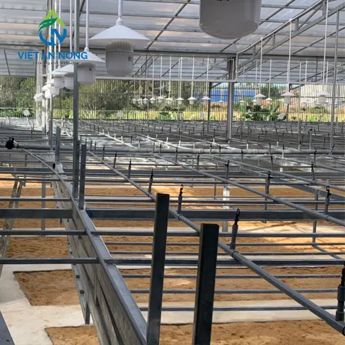 lắp đặt hệ thống phun sương