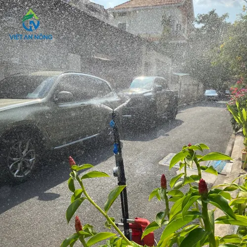 bec-tuoi-cay-re-quat-10 bec tuoi cay re quat 10 1