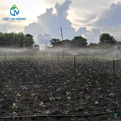 Béc Tưới Gốc AQ206HT