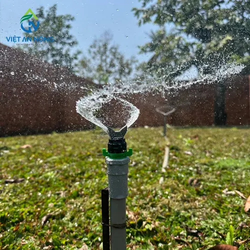 bec tuoi re quat aq215